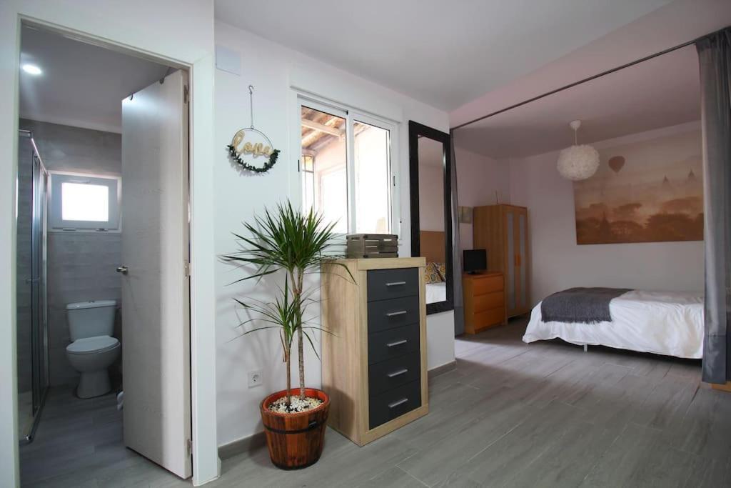 Suite Puerta Osario Con Terraza Sevilla Exteriér fotografie